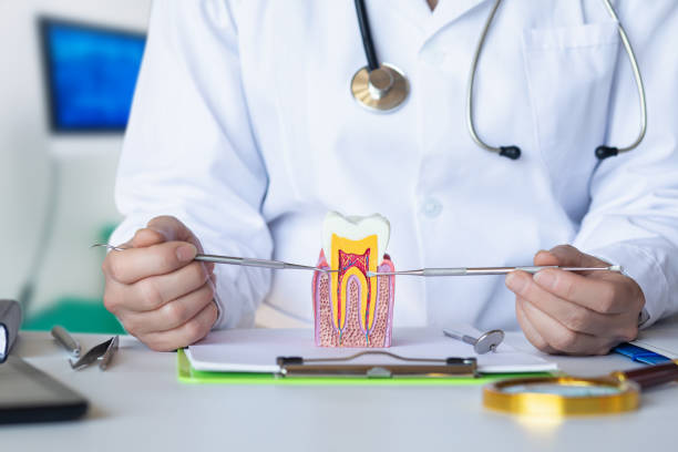Best Weekend Emergency Dentist in Burnham, IL